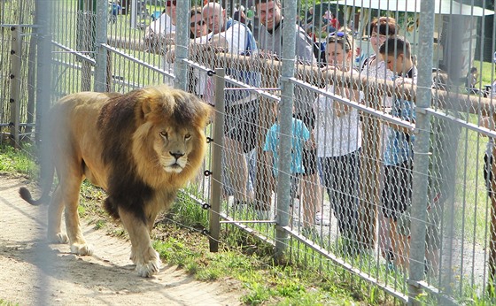 V táborské zoo u ped výbhy opt stojí návtvníci.