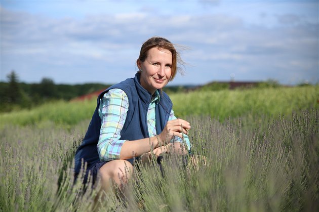 Anna Nová Kuerová zaala s pstováním levandule na prodej na mateské...