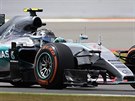 Nico Rosberg pi kvalifikaci na Velkou cenu Velké Británie.