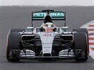 Lewis Hamilton v ele domácí Velké ceny Velké Británie.