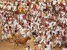 Ve panlsku probíhá festival San Fermín, který ron piláká tisíce turist....