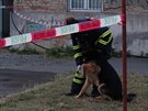 Podpálené policejní auto u sluebny poblí nádraí Praha-Bubny (4. ervence...