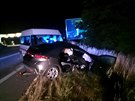 U Moravské Nové vsi se pi stetu auta s dodávkou zranilo osm lidí (6. ervence...