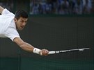 Novak Djokovi bhem osmifinálového zápasu ve Wimbledonu