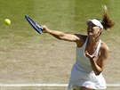 Maria arapovová v semifinále Wimbledonu