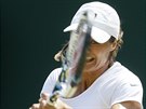 Monica Niculescuová ve 3. kole Wimbledonu, soupekou jí je Kristýna Plíková.