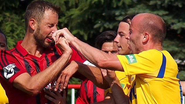 Strkanice v ptelskm utkn Teplice - Sask Kamenice.