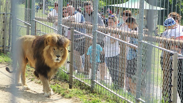 V tborsk zoo u ped vbhy opt stoj nvtvnci.