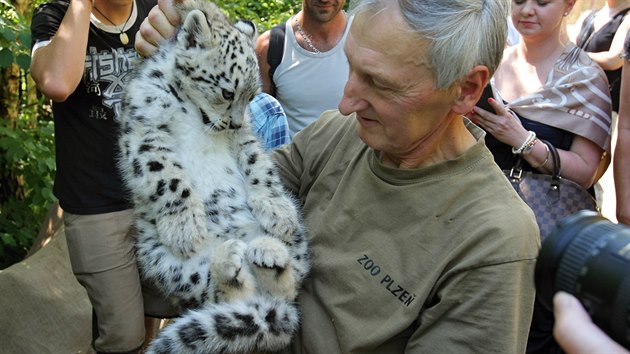 V plzesk zoologick zahrad se podailo po pti letech odchovat mld levharta snnho. Samika dostala jmno Chandra - slovo pochzejc z hindtiny znamen svtc nebo zc.  (2. ervence 2015)