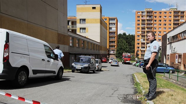 V dom senior v Plzni na Lochotn tonk tce pobodal star enu. (9. ervence 2015)