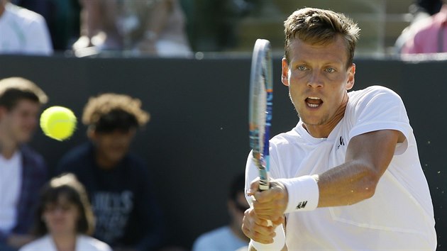 Tom Berdych v osmifinle Wimbledonu