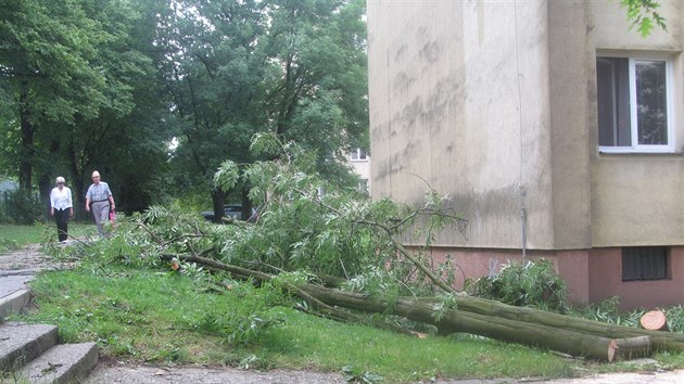 Kusy popadanch strom byly ve stedu rno k vidn na zem cel Karvin.