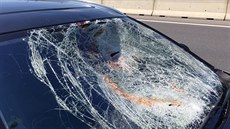 Auto na dálnici D1 na praském Chodov srazilo chodce, ten nepeil (1.7.2015)