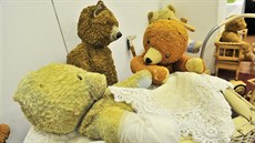 Kuriozitou je rodina medvd, kde se jeden stará o druhého se zrannou packou.