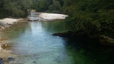 eka Sava Bohinjka je útoitm ryb i utahaných turist. Ti ostílení nemají...