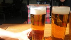 Inspekto�i �OI kontrolovali festivalové Vary.