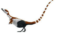 Pokus o rekonstrukci podoby malého dinosaura Sinosauropteryx prima podle...