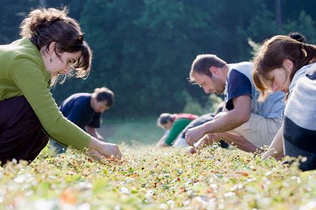 Studenti pracují nejastji na dohodu o provedení práce, která musí být písemná. Ilustraní snímek