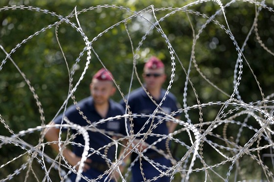 První maarský plot proti uprchlíkm vznikal i díky práci místních trestanc (16. ervence 2015).