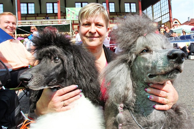 V areálu dostihového závodi�t� ve Dvorech se konal 23. ro�ník Karlovarské...