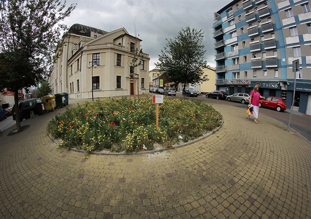 Jarní výsadba do zahrady i truhlíků. Kdy vysadit jiřiny, mečíky a begónie