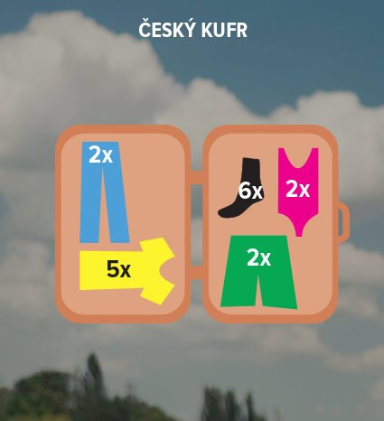 Infografika - český kufr