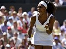 Americká tenistka Serena Williamsová se raduje ve finále Wimbledonu.