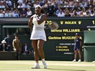 CHVÍLE PO MEBOLU. Americká tenistka Serena Williamsová po chvíli nejistoty...