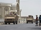 Jementí bojovníci proti íitským povstalcm se shromaují u adenského...