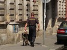 Do pátrání po pachateli se pustil také policista se sluebním psem