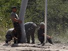 Maarský plot proti uprchlíkm vzniká i díky práci místních trestanc (16....