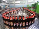 Vyroben pivo dosud museli z brodskho pivovaru pevet do externho skladu.