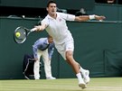 Novak Djokovi ve finále Wimbledonu