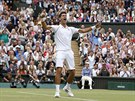 Novak Djokovi slaví triumf ve Wimbledonu.