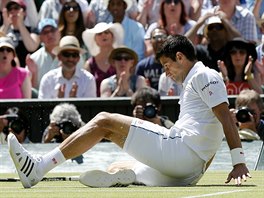 Srbsk tenista Novak Djokovi se ocitl v semifinle Wimbledonu na travnatm...