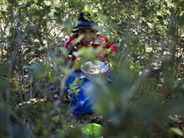 In this June 20, 2015 photo, Andrea Mucha, 64, eats lunch during her break from...