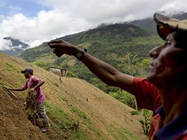 Coca farmer Alfredo Mosco, 44, right, instructs his young employee Donato...