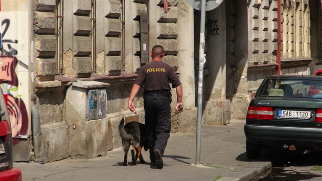 Do ptrn po pachateli se pustil tak policista se sluebnm psem