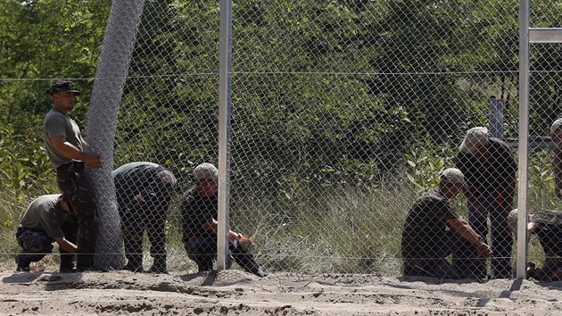 Maďarský plot proti uprchlíkům vzniká i díky práci místních trestanců (16. července 2015).