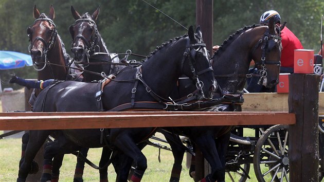 Závod koňských spřežení v Nebanicích (12. července 2015).