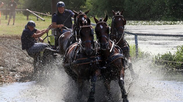 Závod koňských spřežení v Nebanicích (12. července 2015).