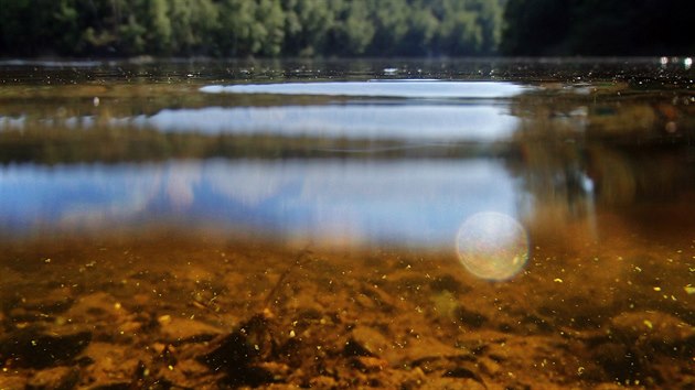 Sinice ve vodch pehrady Skalka pod vyhldkou Egerwarte.