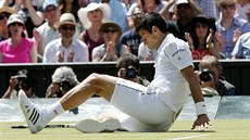 Srbský tenista Novak Djokovi se ocitl v semifinále Wimbledonu na travnatém...