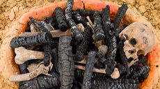 Unikátní nálezy z okolí P�í�ovic nedaleko rychlostní silnice na Prahu.