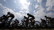 Cyklistický peloton ve 14. etap Tour de France.
