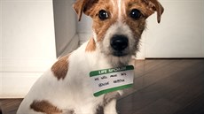 Life Spoiler: �Bude s ním doma veseleji.�