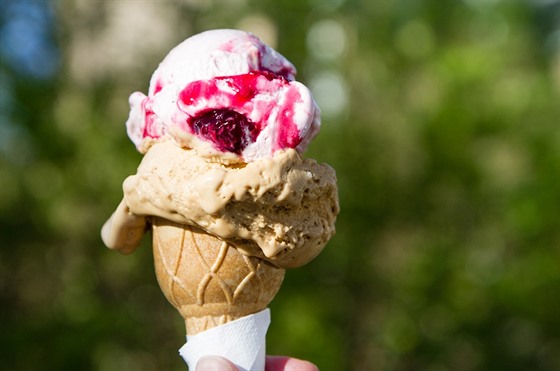 K horkému léto patí dobrá zmrzlina.