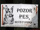 V obci Vlí Pole na Mladoboleslavsku pokousal pes v oblieji malé dít...
