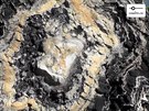 Rypadla odkryla zkamenlý strop z tetihor