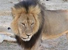 Lev Cecil na zbru z roku 2012
